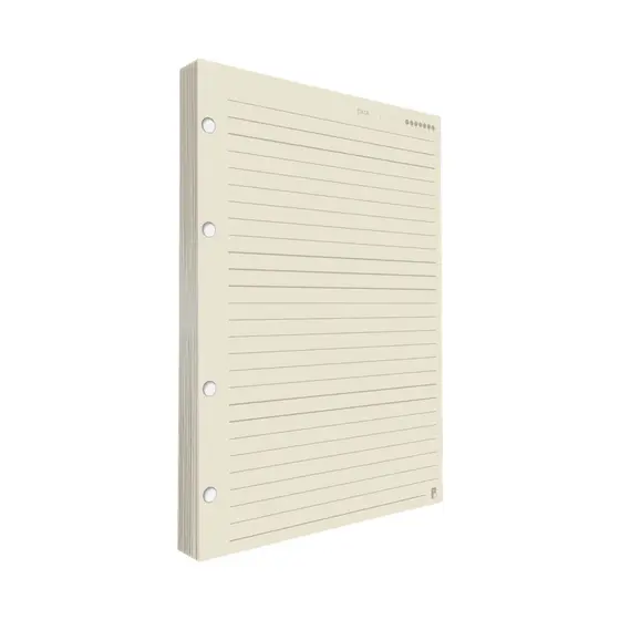 Refil Argolado Pautado 90g 80 folhas Universitário Colegial A5