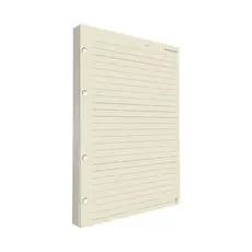 Refil Argolado Pautado 90g 80 folhas Universitário Colegial A5