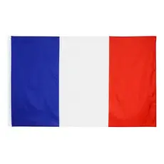 Bandeira França Oficial S/Anilhas 90x60 Cm Cores Fortes