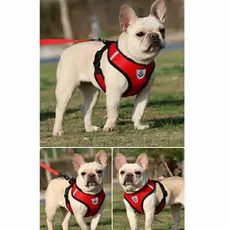 Peitoral Com Guia p/ Cachorro Cães Gatos Coelhos Regulável Confortável Coleira Pet Ajustável Pequeno