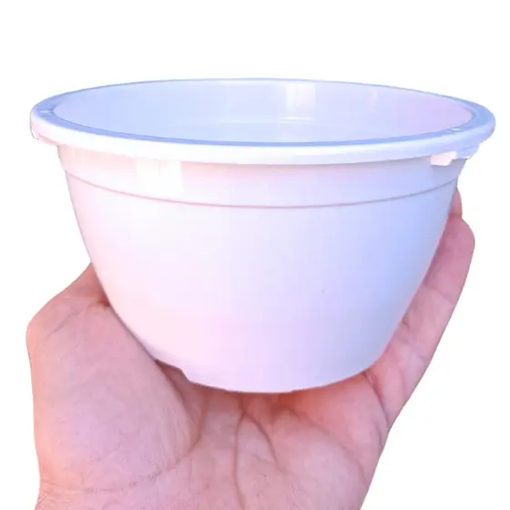 10 Vasos cuia 13 Plástico com 500 mL