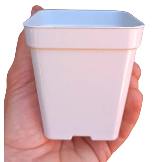 50 Potes Branco 9 Nobre Quadrado na cor Branca