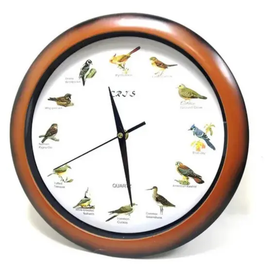 Relógio De Parede Decorativo Canto Dos Pássaros 12 Cantos