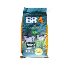 Capim Gado De Leite Engorda Brachiaria Ruziziensis Semente Tratada 10Kg