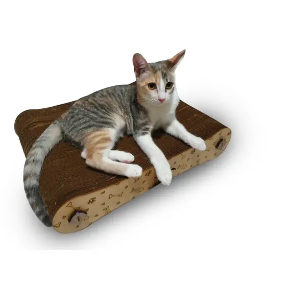 Arranhador para gatos Curvo Papelão