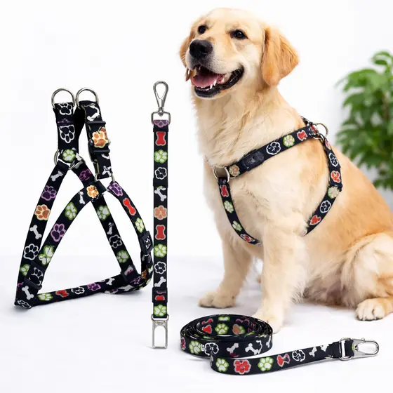 Conjunto Pet 3 em 1 Peitoral Guia + Cinto Segurança Nylon Ajustável Porte Médio e Grande Cores