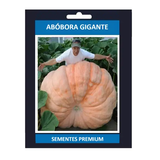 20 Sementes Premium Abóbora Atlantic Gigante