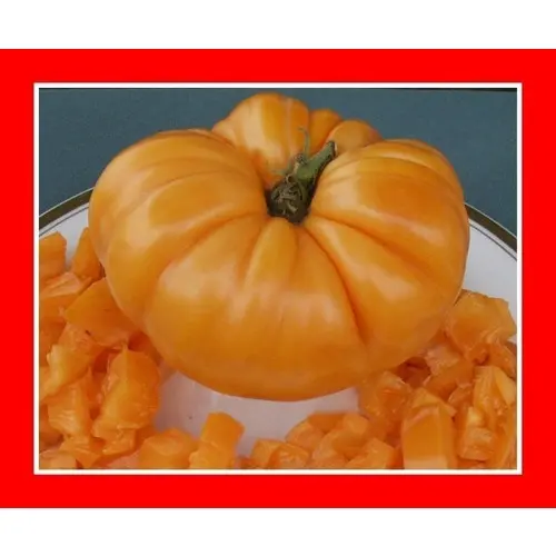 Tomate Amana Orange Heirloom De Usa - Para Mudas Semillas