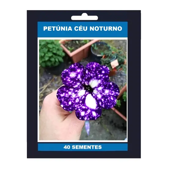 40 SEMENTES DE PETÚNIA CÉU NOTURNO
