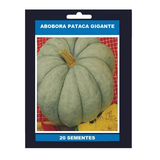 20 Sementes Abobora Pataca