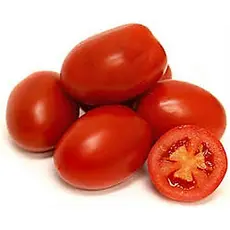 Tomate Italiano Napoli Resiste Doenças! 100 Sementes