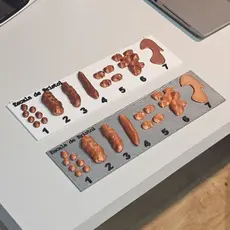 Escala de Bristol Tabela Fezes Cocô com Números Material Educativo Saúde Intestinal Clínicas Ensino