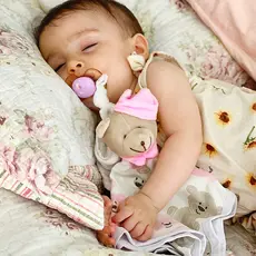 Naninha Paninho  Cheirinho Fraldinha de Bichinho Pelúcia Plush com Porta Segura Chupeta Pepeta
