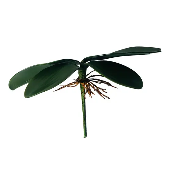 Folha De Orquidea Raizes Arranjos Artificiais Lindas Flores Grande