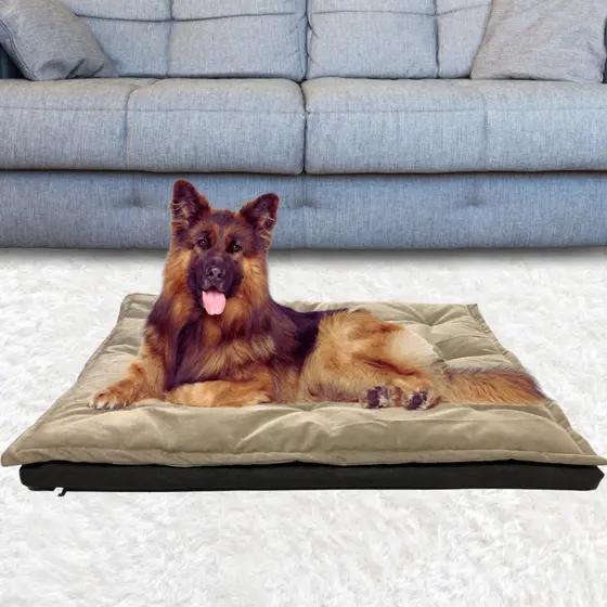 Cama Caminha Cachorro Colchonete Tipo Futon com Pillow Top, com dois travesseiros exclusivos.