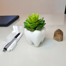 Vaso Dente Molar Dentista Suculenta Odontologia Odonto Vasinho Decorativo Porta Treco Branco