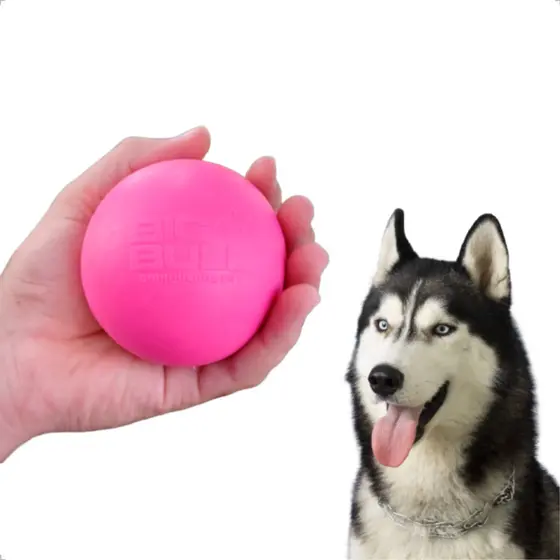 Brinquedo Bola Bolinha Lisa Maciça Colorida Cachorro Cães Boracha Resistente 80mm Big Bull Pet