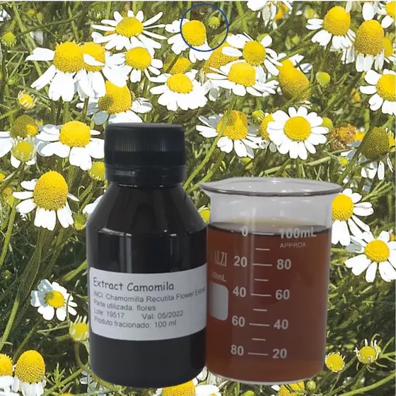 Extrato Glicólico de Calêndula, Confrei, Hamamelis, Aloe Vera, Ginkgo Biloba, Pepino, G. de trigo e outros