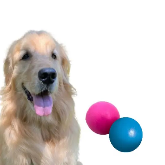 Bolinha Maciça 45mm Brinquedo Mordedor Cães Cachorro Furacão Pet Bola Resietente Furacão Pet