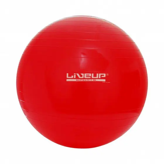 Bola Suiça Pilates Simples 45cm Liveup Ginástica Anti Estouro