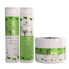 KIT SHAMPOO + CONDICIONADOR + MASCARA PEPINO E ALOE VERA PARA CABELOS QUIMICAMENTE TRATADOS