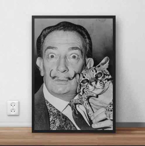 Quadro  / Poster C Moldura Salvador Dali Pintor P6509