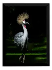Lindo Presente Quadro Decorativo Arara Quarto / Sala   P7258