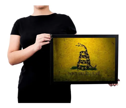 Lindo Quadro Poster C Moldura Ancap Anarco Capitalism  P6740
