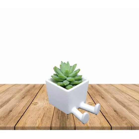 Vaso decorativo com perninhas para suculentas