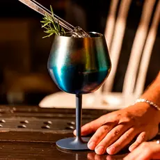 410ML Taça Copo Térmico De Aço Inoxidável 2 Em 1 Para Gin Vinho Drink Bebidas 14oz