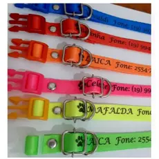 Coleira ENVIO RÁPIDO para Cachorro Personalizada