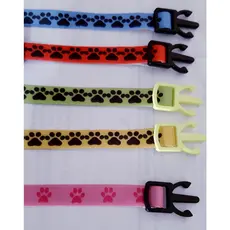 Coleira Anti Enforcamento para Gatos + Placa de Identificação