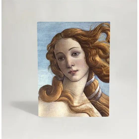 Quadro Tela Acetinada Rosto de Venus Sandro Botticelli