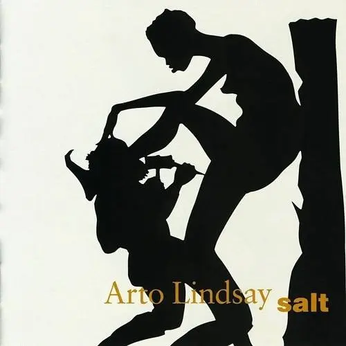 Cd Arto Lindsay Salt