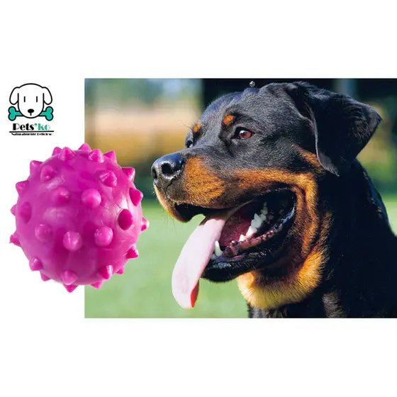 Brinquedo Mordedor Bolinha Cravo Maciça para Cachorro de Grande Porte 75 mm - Brinquedo Pet