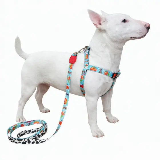 Coleira Peitoral para Cachorro de Personagens Pequenos e Médios com Guia Para Pet Colete Confortável