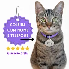Coleira para Gato Anti Enforcamento com Identificação Nome e Telefone