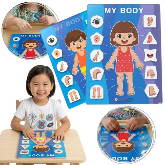 Quebra Cabeça Corpo Humano MDF Infantil Brinquedo Educativo Montessori Pedagógico