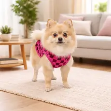Roupinhas Soft Para Cachorro Pet Pequeno Porte a Grande Porte (quentinha e confortável)