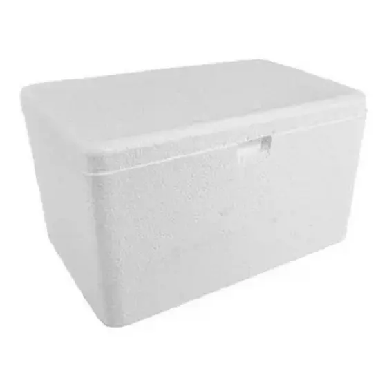 Caixa Térmica Isopor 5 Litros Cerveja, Refri, Medicamentos