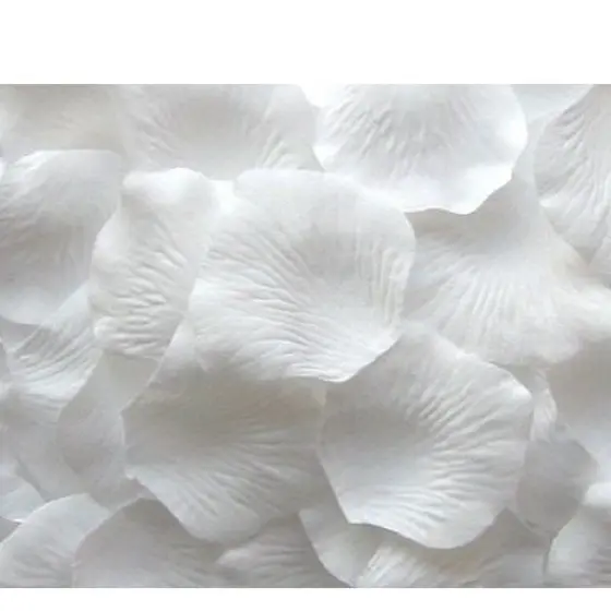 1000 Pétalas de Rosas Artificiais Brancas Decoração Casamento Festas