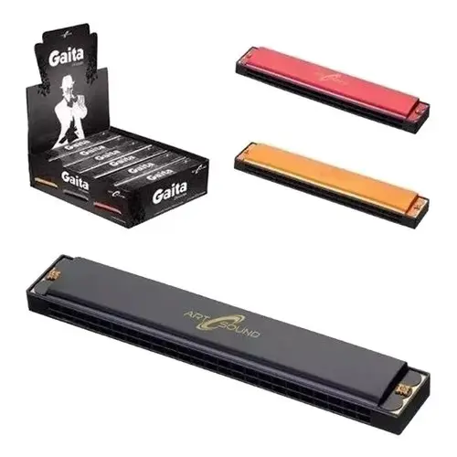 Gaita Para Iniciantes  24 Vozes Harmonica Com Afinação C