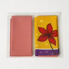 Organizador Multiuso Envelope 30 x 30 Pvc e Zíper