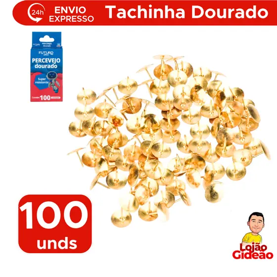 Caixa Percevejo Latonado 100 unidades Tachas Para Quadro De Cortiça Futuro