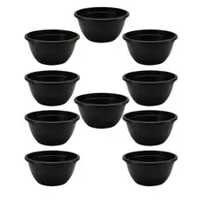 Kit Vasos Plásticos Cuias 21cm de 2 Litros para Suculentas, Mudas e Artesanato, Rosa do Deserto