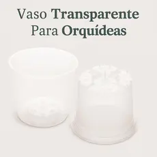 10 Vasos Para Orquídeas Com Cone Plástico Transparente Pote 12