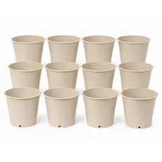 Kit Vasos Plástico Pote 12 Para Orquídeas e Plantas N12 Premium na Cor Bege Preço de Atacado