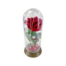 Luminária A Rosa Encantada A Bela e A Fera / O Pequeno Príncipe Amor Lindo Boutique Luzes de fada FRIO Lumi M