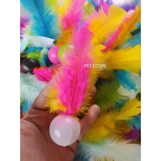 Kit 10 Brinquedo para Gato Bola com Pluminha Pena Peninha  Colorido com Chacoalho