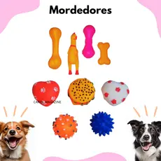 Kit 10 Brinquedos Mordedor Para Cachorro Filhote Pet Galinha Bola Diversos Borracha